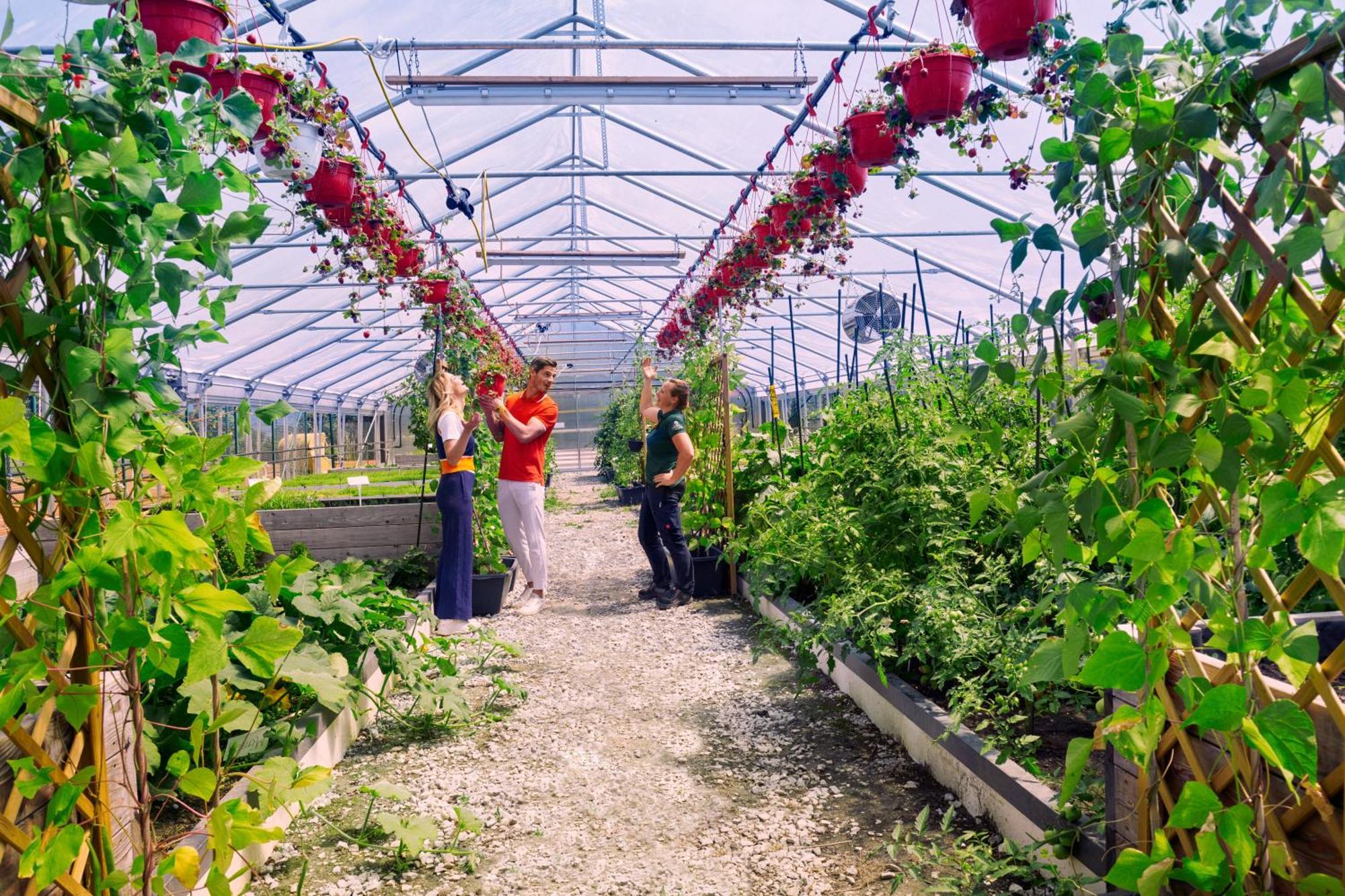 Imlauer Hotel Schloss Pichlarn Aigen im Ennstal Buitenkant foto Greenhouse at the University of Hohenheim